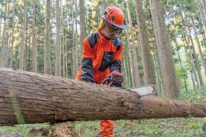 環境森林コース　チェンソー作業の様子の写真