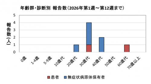 腸管出血性大腸菌感染症　年齢群別　診断別報告数画像
