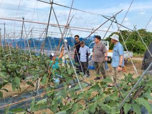 ナスを視察する写真