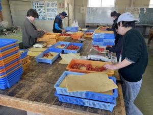 イチゴ調整の写真