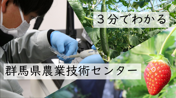 3分でわかる群馬県農業技術センターサムネイルR050314