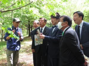 ぐんま昆虫の森で説明を受けている写真