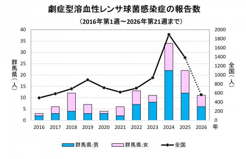 劇症型溶血性レンサ球菌感染グラフ　経年画像