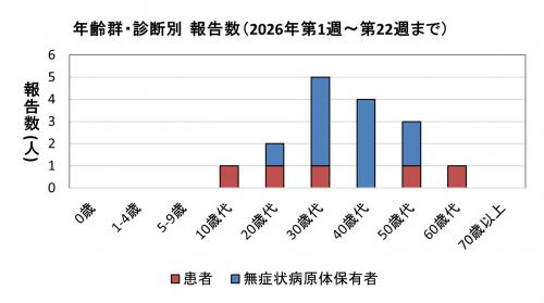 腸管出血性大腸菌感染症　年齢群別　診断別報告数画像