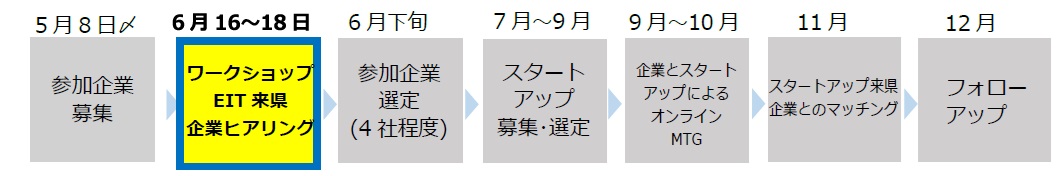 スケジュール