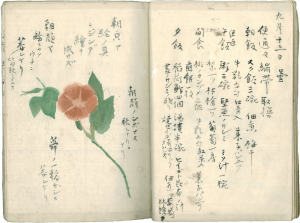 展示資料の画像