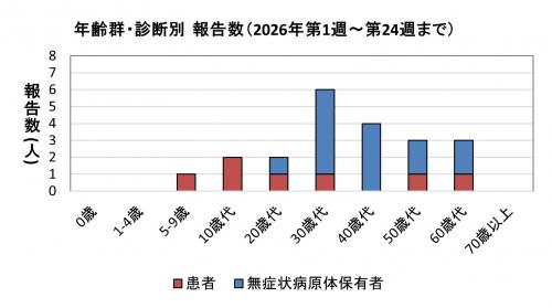 年齢群・診断別報告数(2021年)グラフ画像 腸管出血性大腸菌感染症 年齢群別 診断別報告数画像