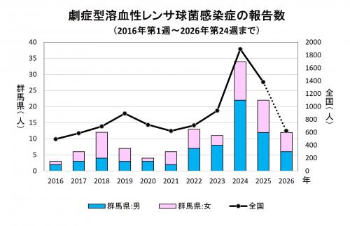 劇症型溶血性レンサ球菌感染グラフ　経年画像