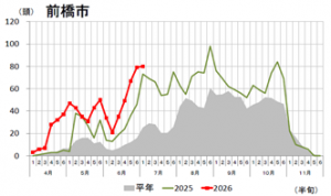 オオタバコガのフェロモントラップ調査結果(前橋市)のグラフの画像