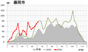 オオタバコガのフェロモントラップ調査結果(藤岡市)のグラフの画像