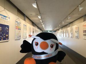 パネル展の画像