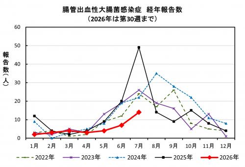 腸管出血性大腸菌感染症　経年報告数画像