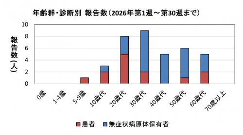  腸管出血性大腸菌感染症　年齢群別　診断別報告数画像
