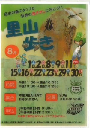 里山歩き　8月