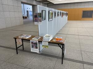 展示の様子の画像2