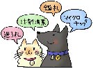 所有者明示の犬猫画像