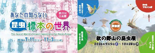 秋の野山の昆虫展