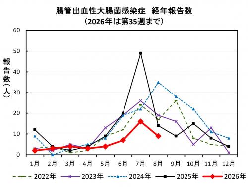 腸管出血性大腸菌感染症 経年報告数画像