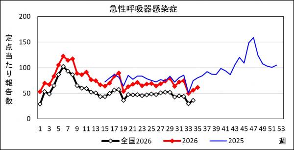 急性呼吸器感染症 患者報告推移の画像
