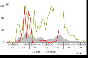 トラップ調査結果(高崎市上里見町)グラフ画像