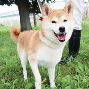 みさ江正面写真