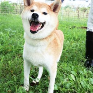みさ江笑顔写真