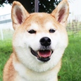 みさ江ちゃんの写真