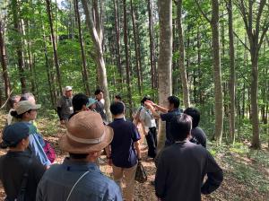 藤原地区の様子の写真