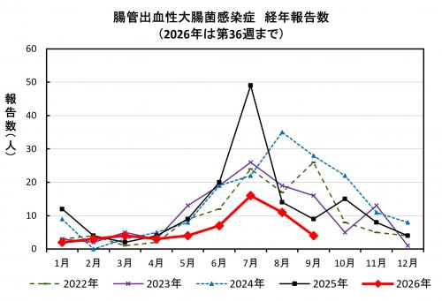 腸管出血性大腸菌感染症　経年報告数画像
