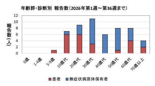 腸管出血性大腸菌感染症　年齢群別　診断別報告数画像