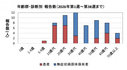 年齢群・診断別報告数(2021年)グラフ画像 腸管出血性大腸菌感染症 年齢群別 診断別報告数画像