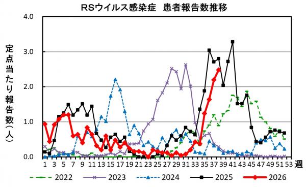 RSウイルス感染症 患者報告推移の画像