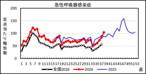 急性呼吸器感染症 患者報告推移の画像