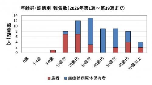 年齢群・診断別報告数(2021年)グラフ画像 腸管出血性大腸菌感染症 年齢群別 診断別報告数画像