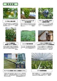 農技セ成果集画像3