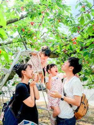 4位,moesimba59さん,果実の里 原田農園(沼田市)の写真