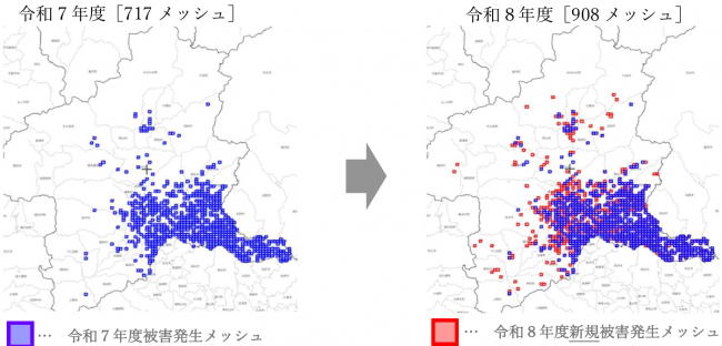 メッシュ図