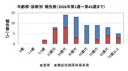 腸管出血性大腸菌感染症　年齢群別　診断別報告数画像