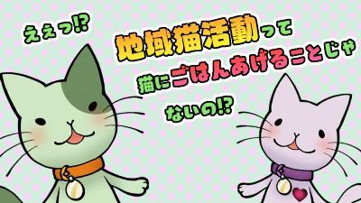 意外と知らない地域猫活動その1（YouTube：外部リンク）