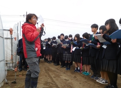 コマツナ経営の見学写真(園芸コース)の写真