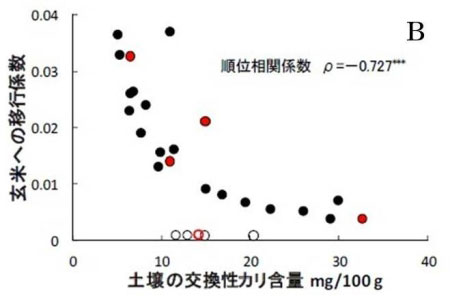 図1B　農研機構プレスリリース「玄米の放射性セシウム低減のためのカリ施用」から引用