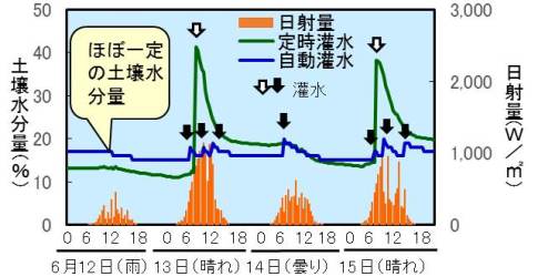 土壌水分の推移のグラフ画像