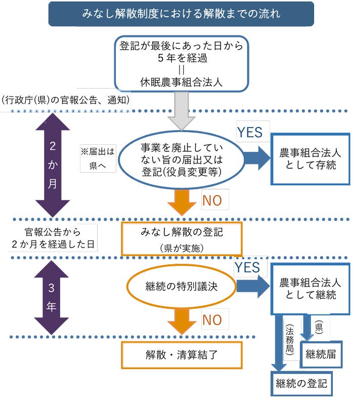 休眠農事組合法人のみなし解散制度における解散までの流れのイメージ画像