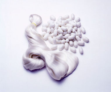 ぐんまオリジナル蚕品種「ぐんま200」の繭を使った生糸の写真