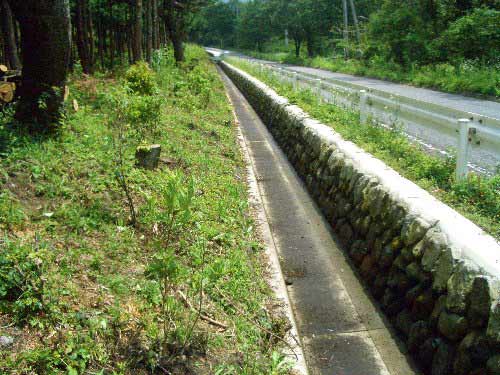 完成した水路と植栽されたレンゲツツジの幼木写真