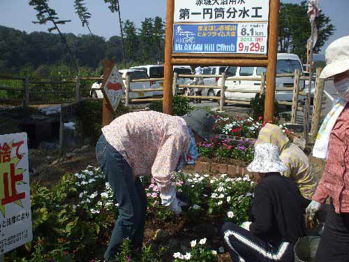 円筒分水工の周りは花でいっぱいです写真