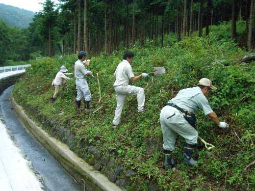 植栽活動の様子写真