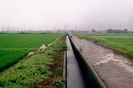 湛水被害の解消状況、平成14年台風6号写真