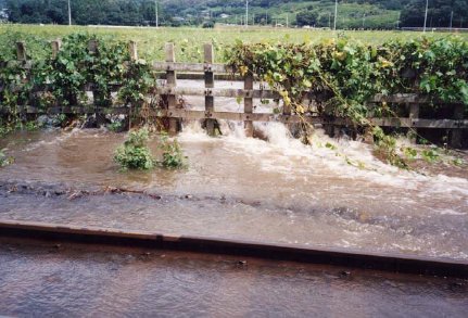 東武鉄道敷への被害状況　写真