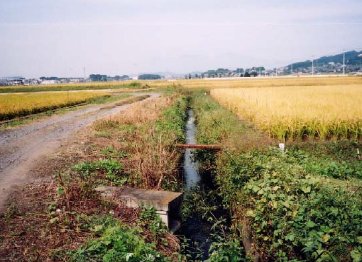 整備前の水路　写真